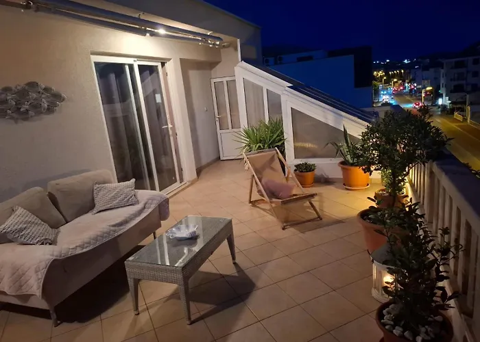 Happy Basset Terrace
