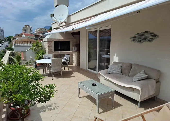 Happy Basset Terrace